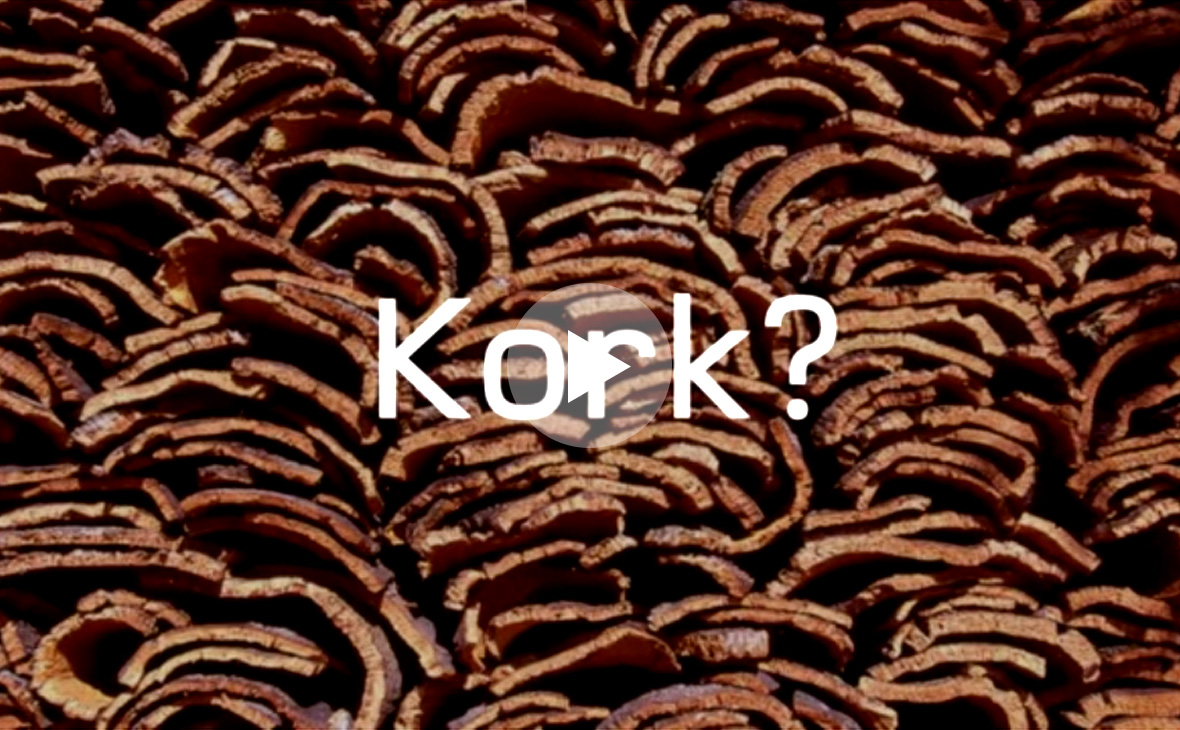 Kork - Explainer Video - Teaserbild